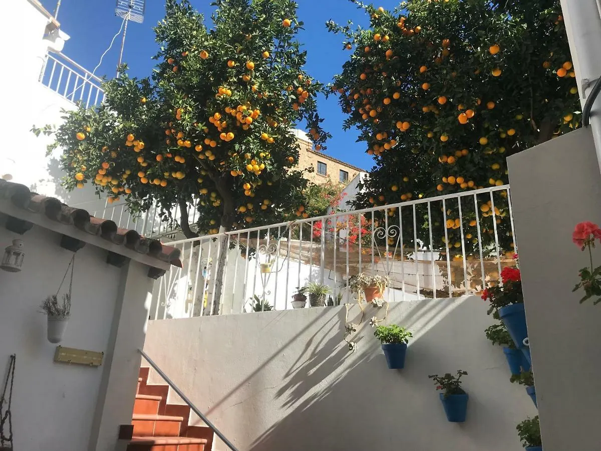 El Patio De Lola Y Felisa Apartment Malaga 0*,