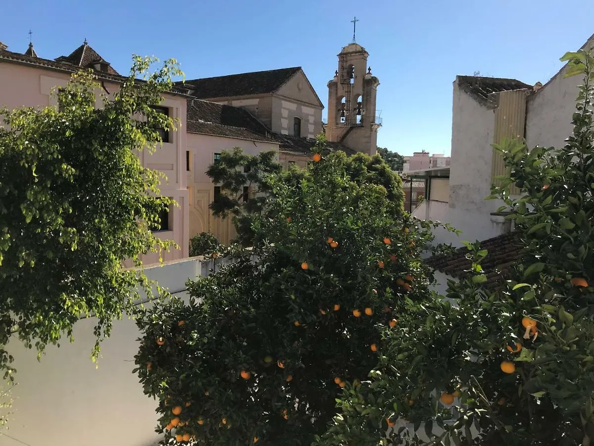 El Patio De Lola Y Felisa Apartment Malaga